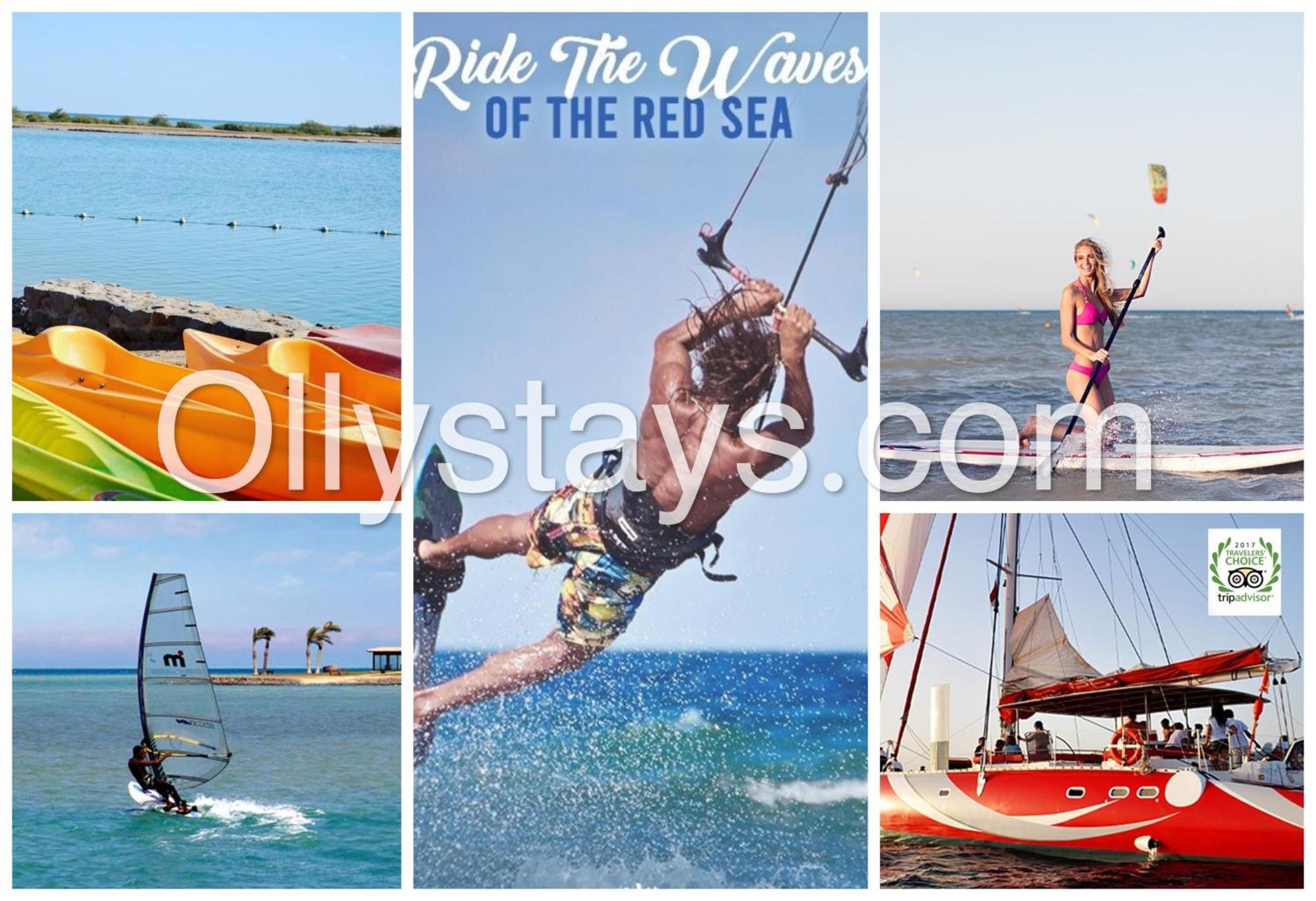 Ollystays Mangroovy Seaview 1Br Beach And Pool Free Access 洪加達 外观 照片