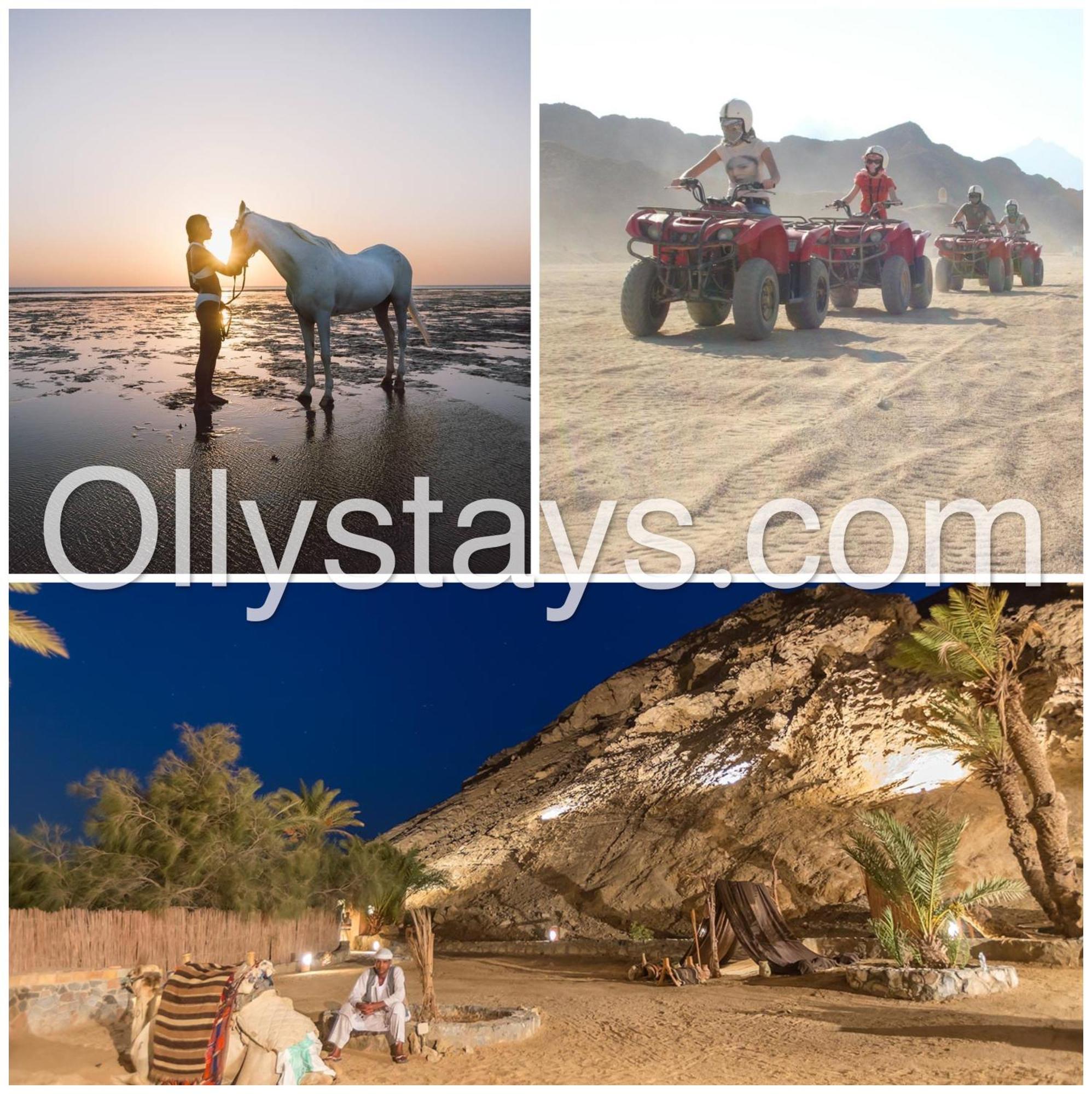 Ollystays Mangroovy Seaview 1Br Beach And Pool Free Access 洪加達 外观 照片